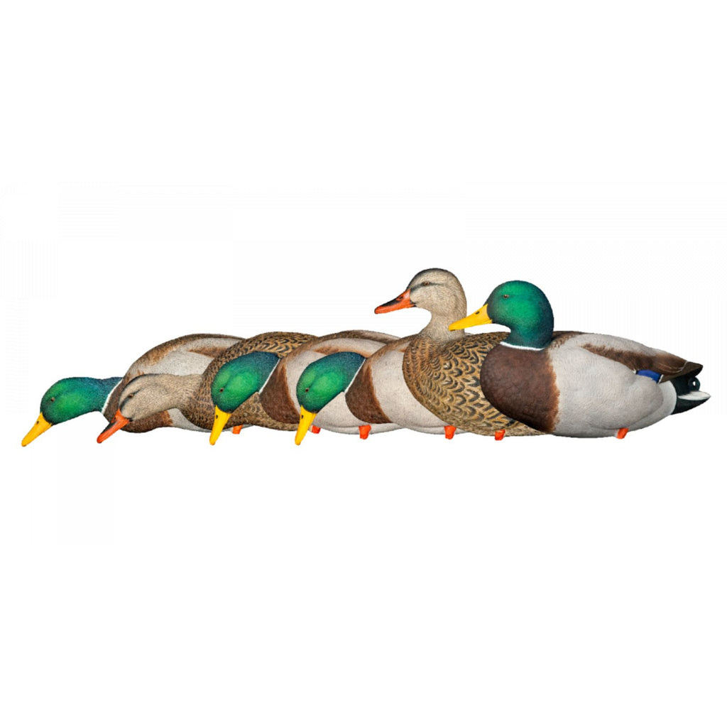 Avian-X AXP Mallards: Fusion Pack