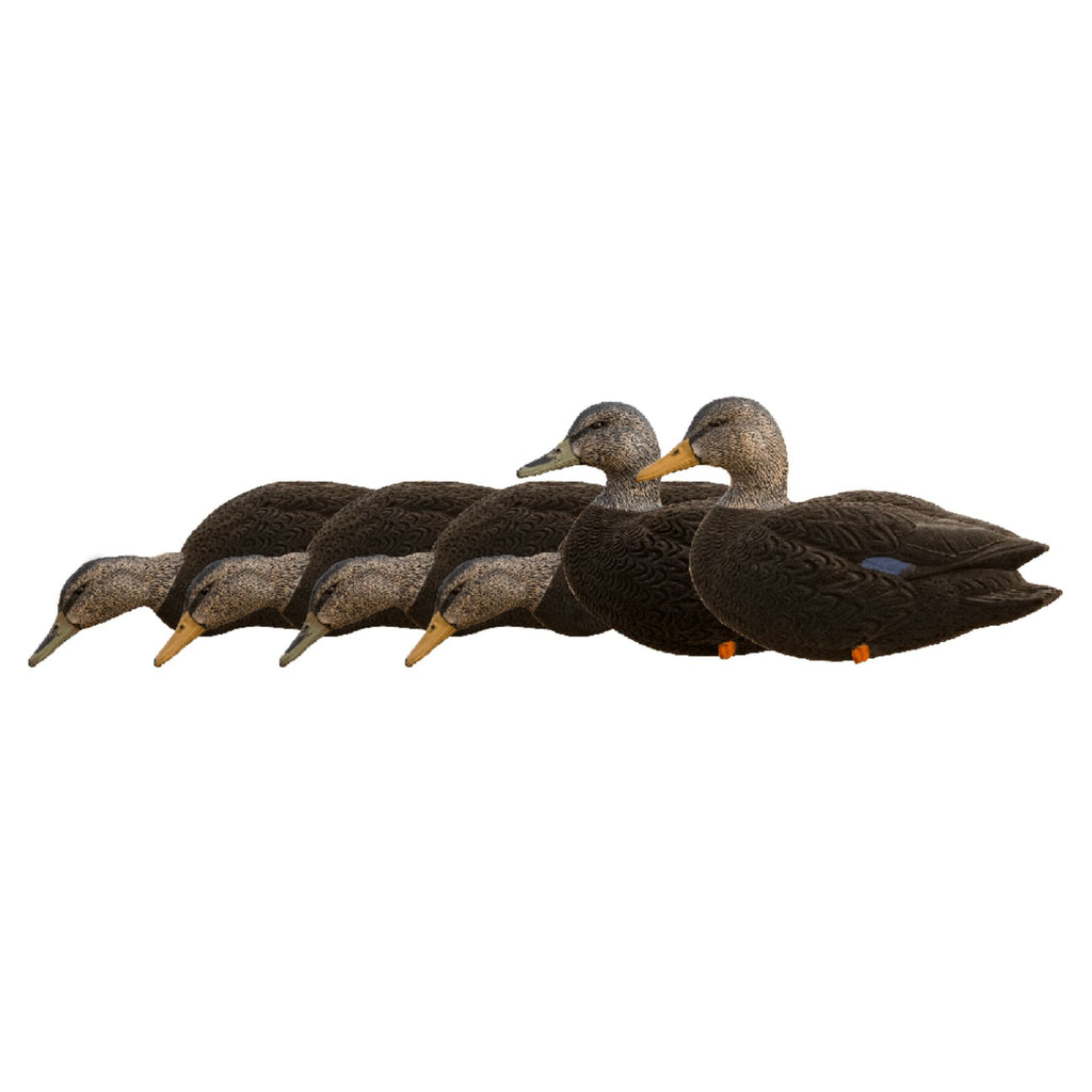 Avian-X AXF Black Ducks Fusion Pack